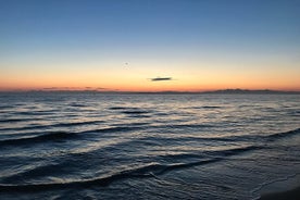 海辺でのカクテル バーテンダー マスタークラス