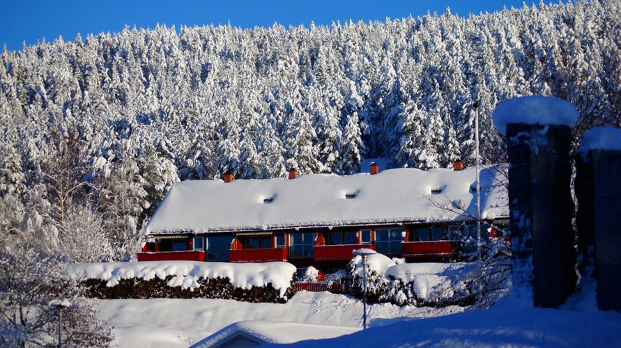 Landscapes in city Kongsberg, Norway