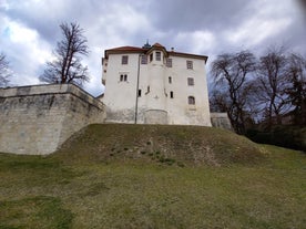 Pišece Castle