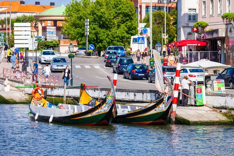 Ride a Moliceiro Boat in Aveiro.jpg