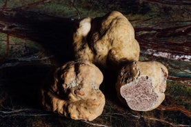 Tour di mezza giornata, con pranzo a base di tartufo: Alla scoperta delle terre del Duca