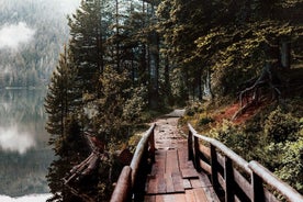 North Montenegro Tour:Žabljak - NP Durmitor - Black Lake - Đurđevića Tara Bridge