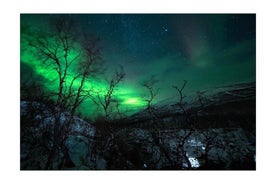 Private Aurora Borealis Tour Kiruna Abisko met Street Food