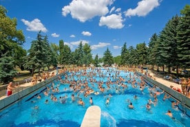 Entrée d'une journée aux bains Palatinus de Budapest