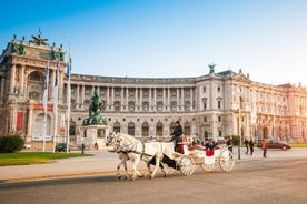 Koko päivän luksuskierros Wienissä ja Bratislavassa Budapestista