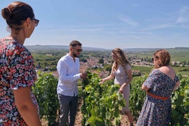 From Reims: Morning Champagne Tour and Tastings