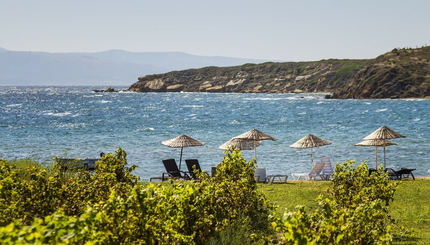 Beds and Straw Umbrellas On A Beach On A Windy Day By Grape Vines At Bozcaada, Canakkale, Turkey