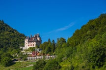 Los mejores viajes de esquí en Menthon-Saint-Bernard, Francia