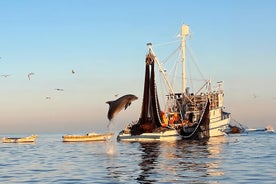 Sunrise Dolphins & Fishermen at Work speedboat tour in Rovinj