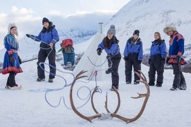 Tagsüber Rentierschlittenfahrt außerhalb von Tromsø