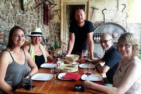 Pagus Wine Tours® - Sirmione by boat and Amarone - Full day tour