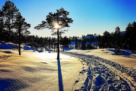 Skifahren im Winterwunderland