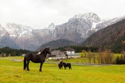 Best Time To Visit the Austrian Alps for Your Dream Adventure