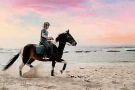 Tour a cavallo di Viana do Castelo con trasporto da Porto / Braga