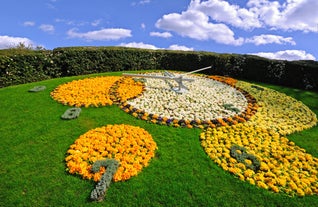 The Flower Clock