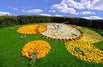 The Flower Clock travel guide