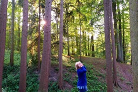 Shinrin Yoku nella foresta di Sonian in Belgio