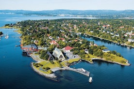 Excursion privée à terre à Oslo: Nydalen, la péninsule de Bygdoy et le musée Kon-Tiki