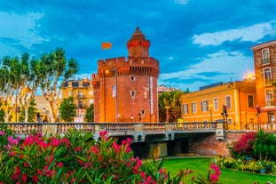 Photo of the Canal and Castle of Perpignan in springtime, Pyrenees-Orientales, France.