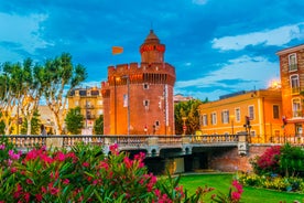 Photo of Toulouse and Garonne river aerial panoramic view, France.