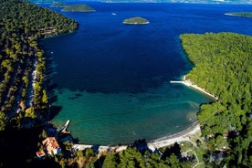 From Dubrovnik: Mljet Island Private Boat Tour with Swimming