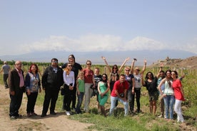 Tour di gruppo: azienda vinicola Hin Areni, Tatev (ritorno sulla funivia), grotte di Khndzoresk