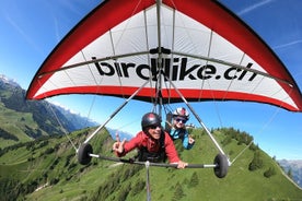 Birdlike Hang Gliding Lucerne