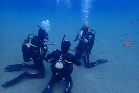 Open Water Diver Course i Lanzarote