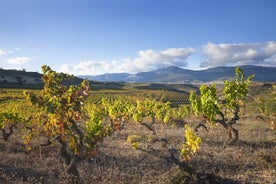 Wine Tour: Cave & Déjeuner Traditionnel De Logroño