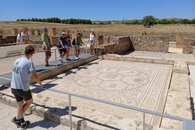 Tour in bici elettrica di 5 ore alle rovine di Italica