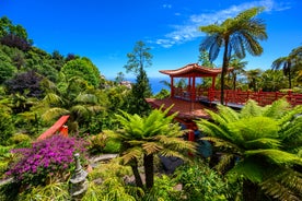 Aerial drone view of Camara de Lobos village, Madeira.