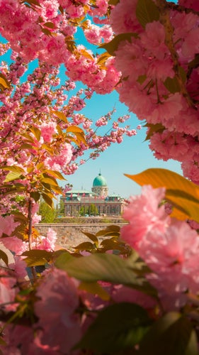 Budapest Spring.jpg