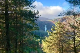 Tour Wicklow Mountains National Park in a limo with private guide