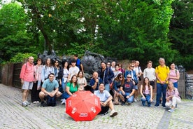 Free Walking Tour in Dusseldorf