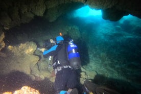 Double Dive * Ilha Terceira