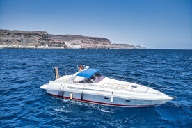 Private Boat Trips Puerto de Mogan 3h Tour Gran Canaria 9 people