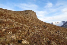 Rock Climbing Experience with Gear Included