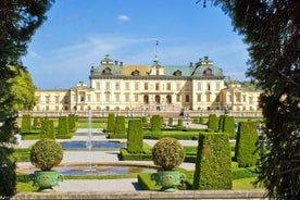 Visite du château de Drottningholm en voiture VIP et guide privé