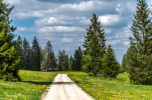 Estancia en La Chaux-de-Fonds, Suiza