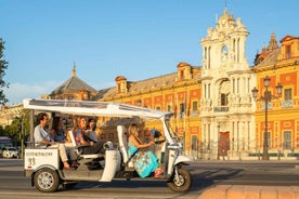 Seville: Private City Tour by Eco Tuk Tuk