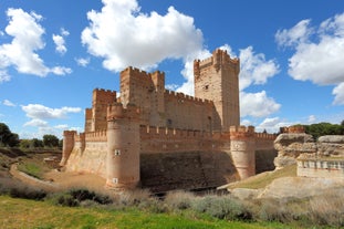 Castle of La Mota