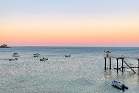 Dagarrangement Arrábida, Setúbal en Azeitão vanuit Lissabon met wijnproeverij