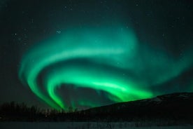 Jagt på nordlyset i Kiruna - Abisko