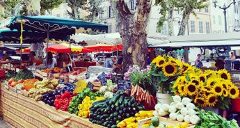 Cultural and Gourmet Tour in Provence