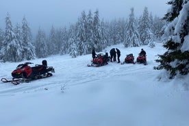 Snöskotertur på bergen från Brasov