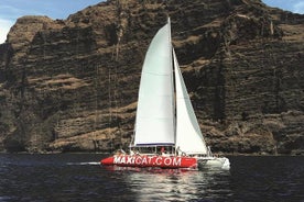 Croisière en catamaran à Ténériffe au départ de Puerto Colon