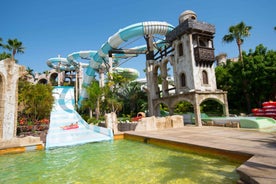 Costa Adeje: Aqualand Water Park Ticket with Dolphin Show