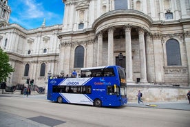 Panoramische bustour door Londen met audiogids