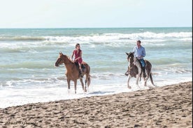 Rome: Private Horseback Riding Experience on the Beach