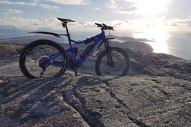 Visite en vélo électrique jusqu'au point de vue Keiservarden